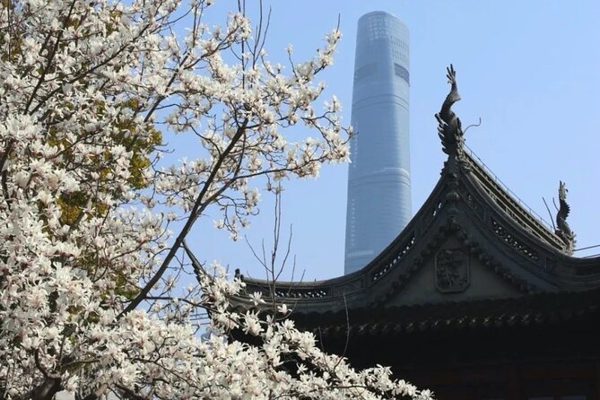 4-Hr Shanghai Layover Tour: Maglev, Wet Market, Food, Landmarks - The Bund in one focused hour
