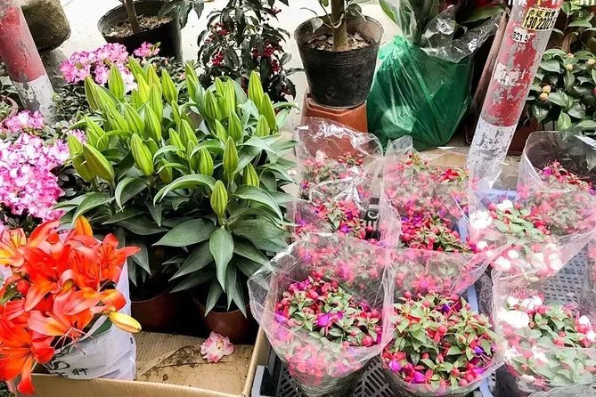 6-Hour Private Beijing Tour: Flower and Fish Market, Panjiayuan Antique Market and 798 Art Zone - Who gets the most value from this tour