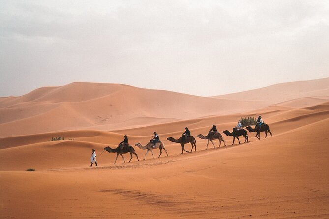 8-Hour Tour Giza Pyramids, Egyptian Museum and Cairo Bazaar - Who will get the most from this tour