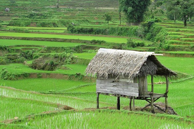 Active Volcano, Rice Field, Hot Spring, Fruit market, Tea Plantation with Lunch - Tangkuban Perahu, the volcanic centerpiece
