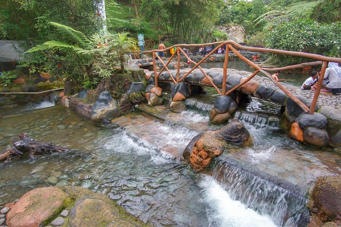 Active Volcano, Rice Field, Hot Spring, Fruit market, Tea Plantation with Lunch - Guides, vehicles, and the long return to Jakarta