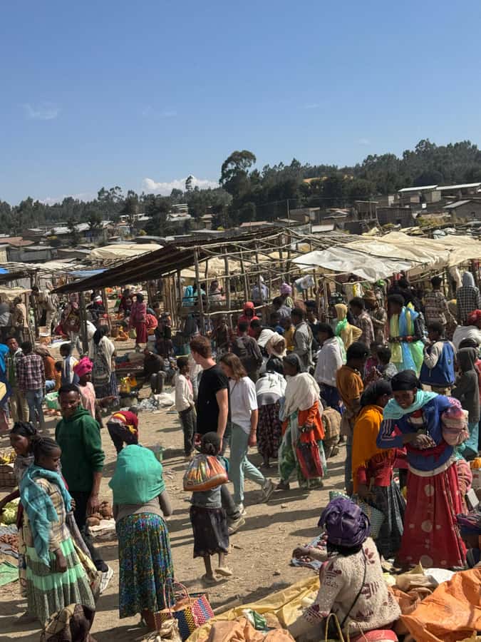 Addis Ababa: Mercato Market and Sightseeing Tour - Mercato: Addis Ababa’s working market at full scale