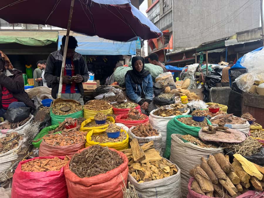 Addis Ababa: Mercato Market and Sightseeing Tour - Entoto Natural Park and the high view over Addis Ababa
