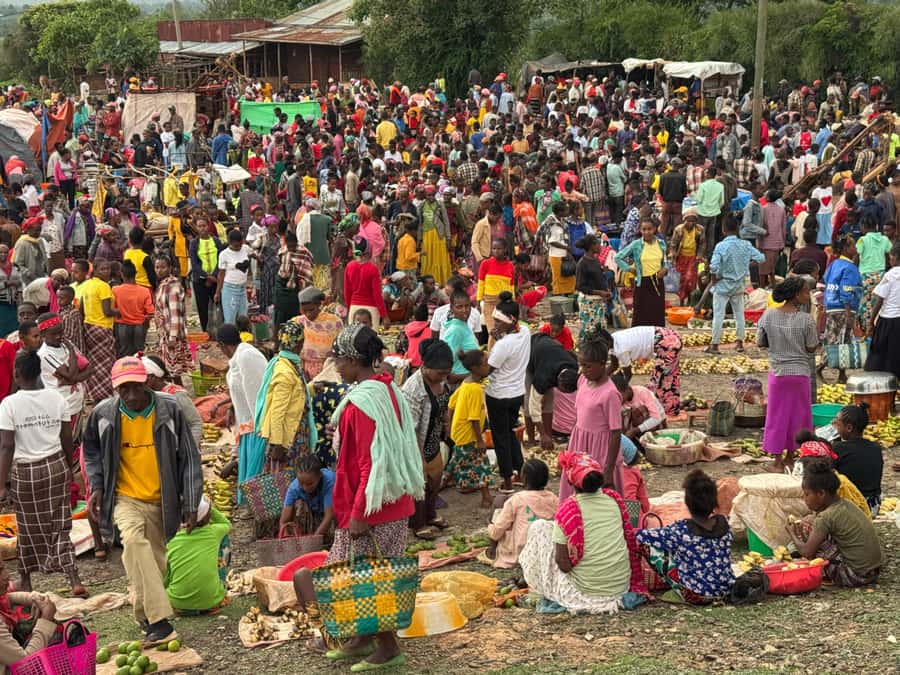 Addis Ababa: Mercato Market and Sightseeing Tour - Who will enjoy this outing most