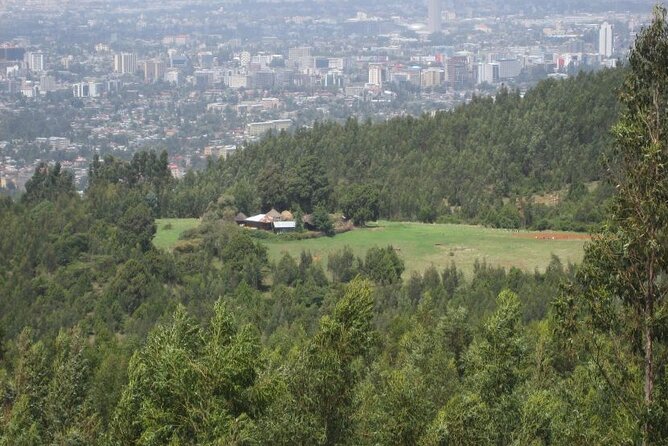 Addis Ababa +Mount Entoto View Point,Museums Palace Market Tours - Shiro Meda Market for Ethiopian textiles