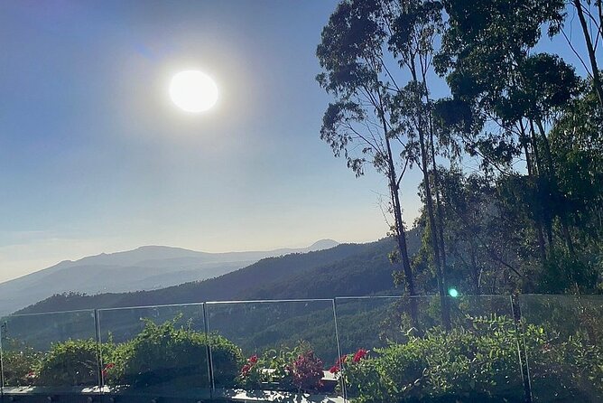 Addis Ababa +Mount Entoto View Point,Museums Palace Market Tours - Ethiopian coffee at Tomoca