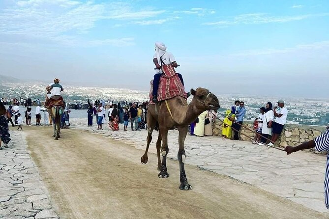 Agadir city Tour with big Souk Elhad - Kasbah Oufella: Agadir from the hill