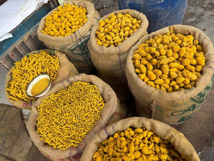 Agra: Street Food Tour with Spice Market on Tuk-Tuk Ride - Chaat Gali, where the tasting begins