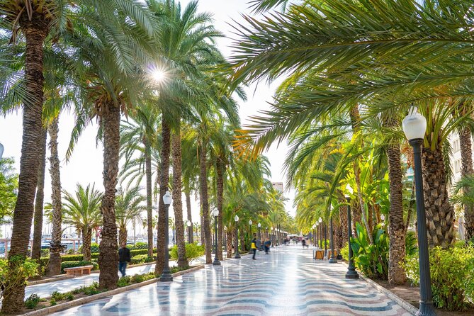 Alicante Tour: Full City, Castle, Market & Tapas Experience - Starting along Alicante’s marble Esplanade