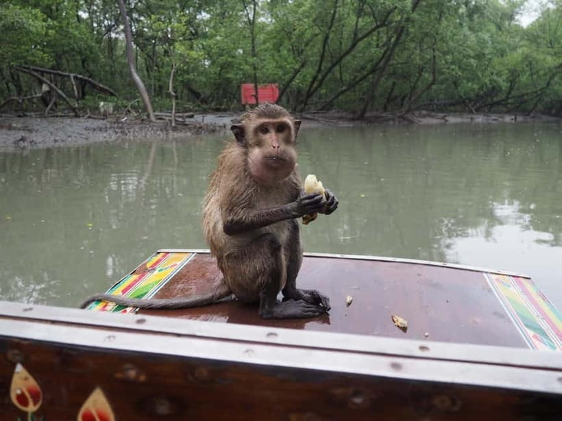 All-in-One Market Experience: Railway & Floating Wonders - Damnoen Saduak: canal shops and an optional paddle boat