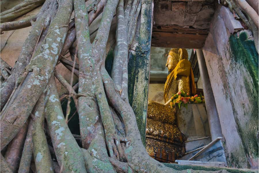 Amphawa & Railway Market & Boat Ride: from BKK - The train ride into Maeklong Railway Market
