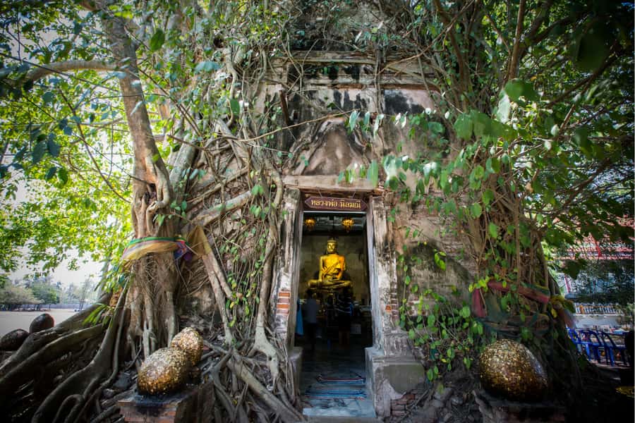 Amphawa & Railway Market & Boat Ride: from BKK - Wat Bang Kung and its banyan-root chapel