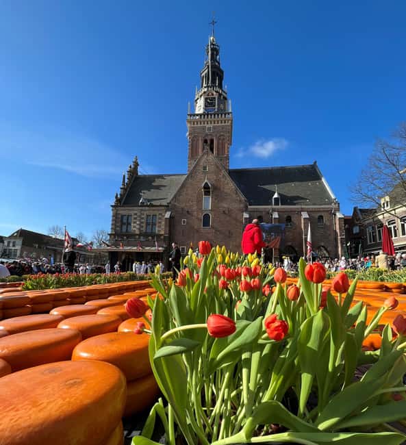 Amsterdam: Traditional Cheese Market Tour to Alkmaar - Watching the cheese trade in Alkmaar