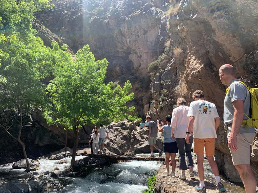 Atlas Mountains Day Trip: Market, Cooking & Village Walk - Cooking in the family garden