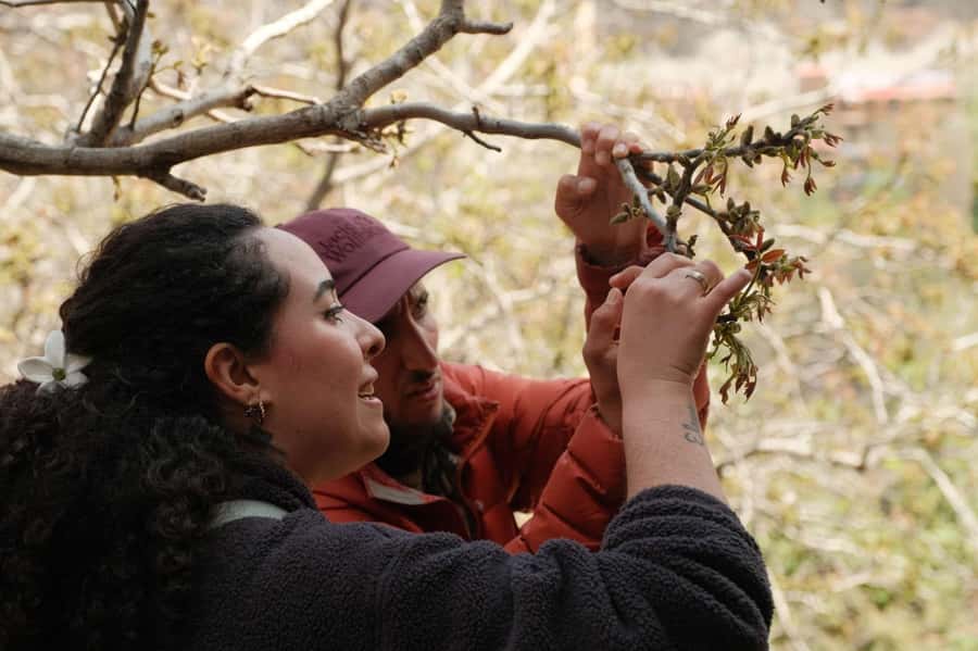 Atlas Mountains Day Trip: Market, Cooking & Village Walk - Lunch with a Berber family