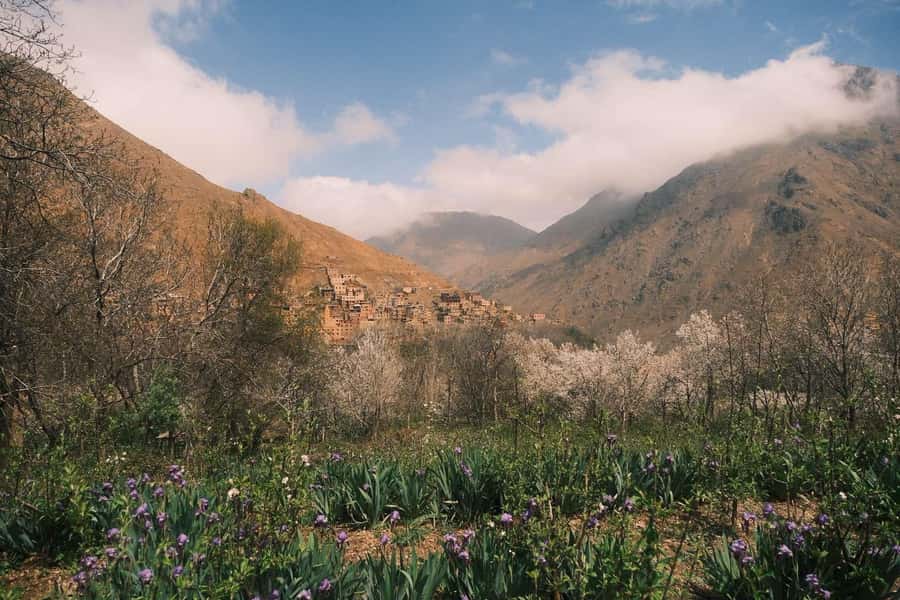 Atlas Mountains Day Trip: Market, Cooking & Village Walk - Imlil market and the ingredients for lunch