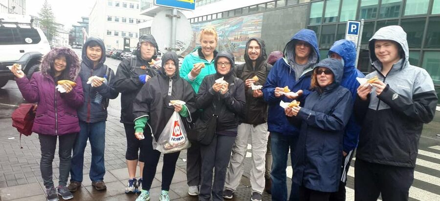 Authentic Reykjavik Food Tour with Flea Market Delights - Dietary restrictions and alcohol