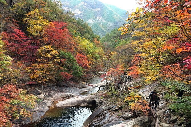 Autumn Foliage-Mt. Seorak, Sokcho Fish Market, Sokcho Beach - Why this autumn day trip works