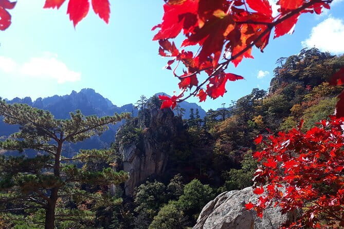 Autumn Foliage-Mt. Seorak, Sokcho Fish Market, Sokcho Beach - From Seoul to Seoraksan by early bus