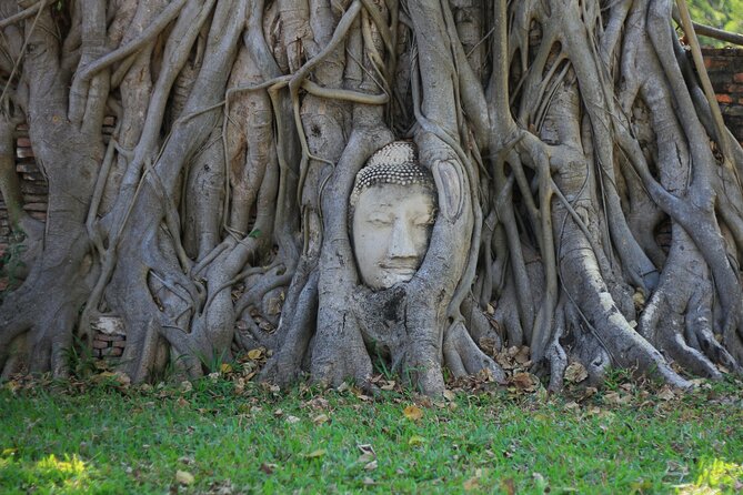 Ayutthaya Landmark Tour for Floating Market & Famous Temples - Wat Mahathat and the Buddha head in the tree