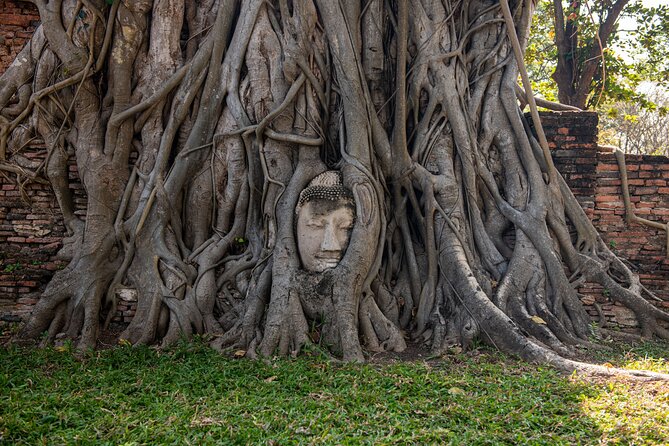 Ayutthaya, Maeklong Railway, Damnoen Saduak Floating Market - Wat Mahathat and the Buddha head in the tree roots
