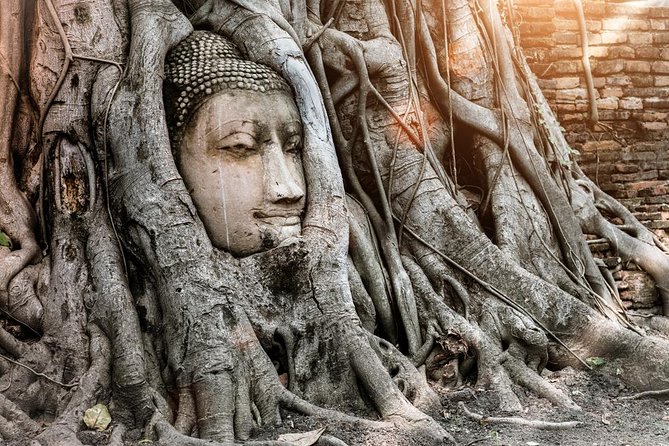 Ayutthaya Temples and Ayothaya Floating Market From Bangkok - Wat Mahathat and the famous Buddha head