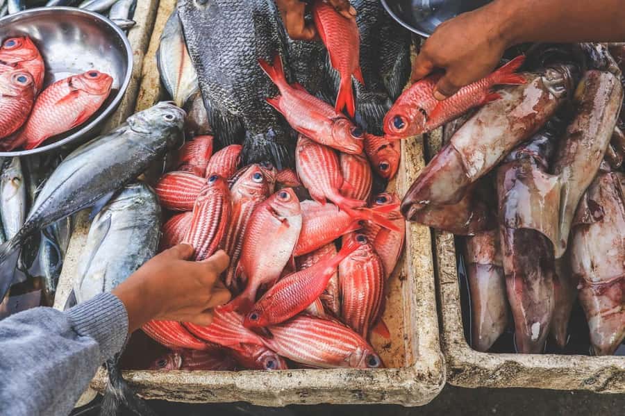 Bali: Jimbaran Seafood Market Tour with Sunset Dinner - Sunset dinner beside Jimbaran Bay