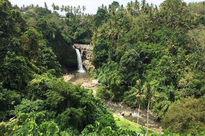 Bali Night Market Experience and Ubud Highlights tour - What the $45.50 price really covers