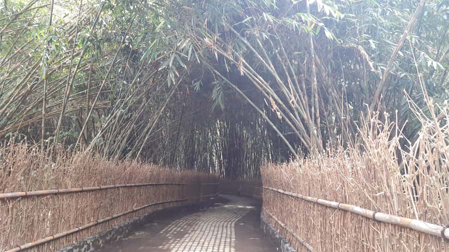 Bali: Penglipuran Village, Waterfall, and Night Market Tour - Why this day works for seeing a different side of Bali