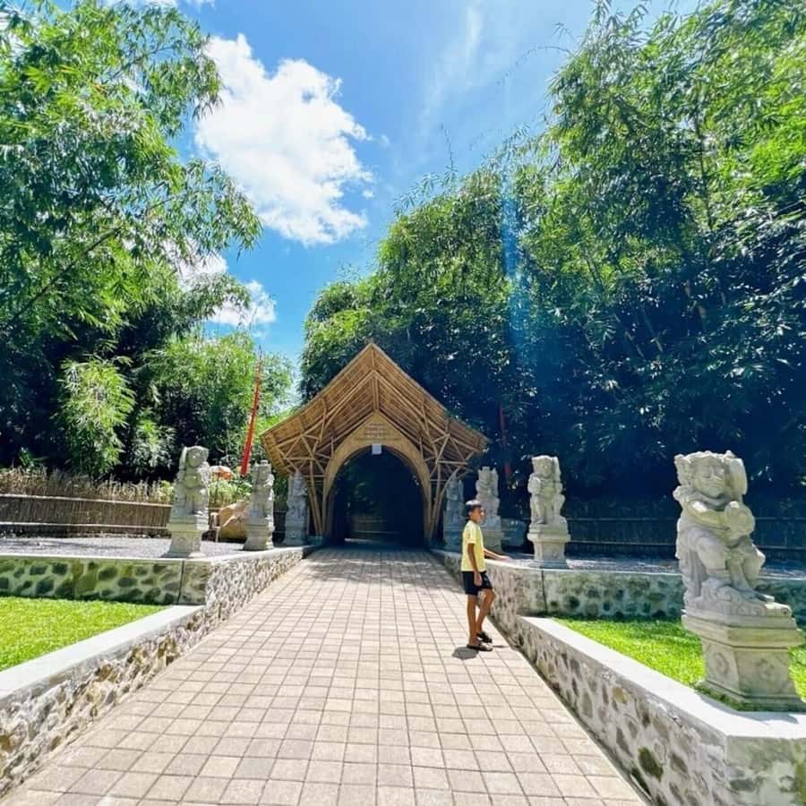 Bali: Penglipuran Village, Waterfall, and Night Market Tour - Hutan Bambu: quiet paths and strong photo light