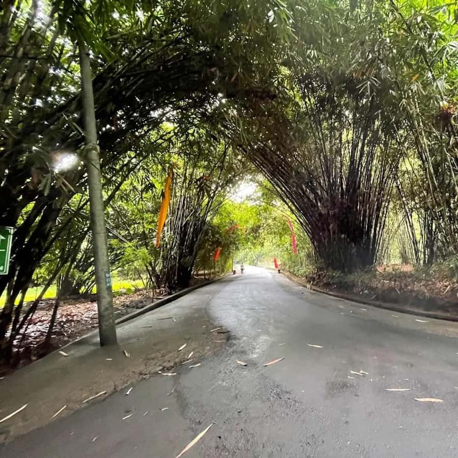 Bali: Penglipuran Village, Waterfall, and Night Market Tour - Pasar Gianyar for local food and a final change of scene