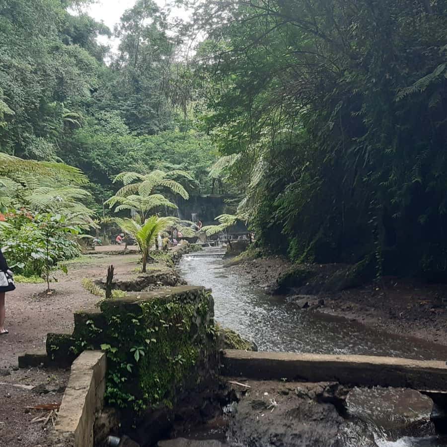 Bali: Penglipuran Village, Waterfall, and Night Market Tour - What the private format adds