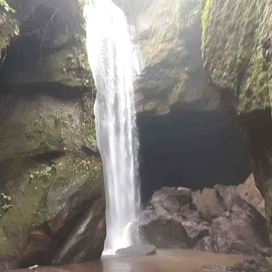Bali: Penglipuran Village, Waterfall, and Night Market Tour - How much value you get for $36