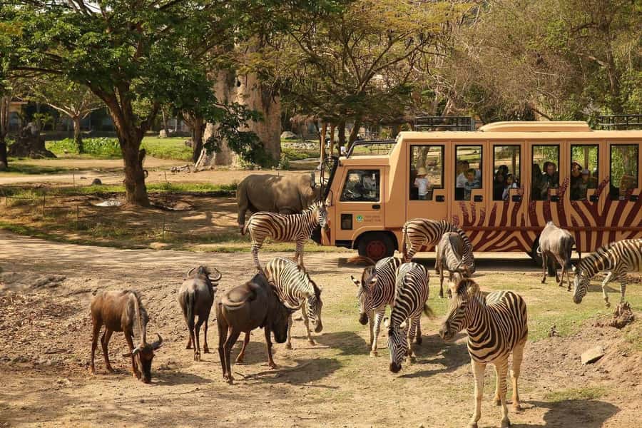 Bali: Safari Zoo and Ubud Palace and Market Day Tour - Why this Bali day tour works