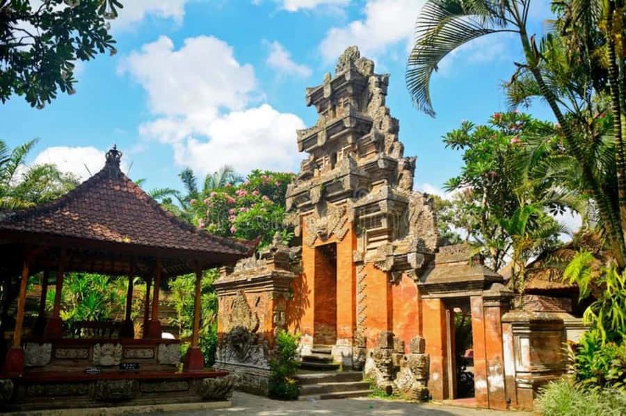 Bali: Safari Zoo and Ubud Palace and Market Day Tour - How the private transport changes the day