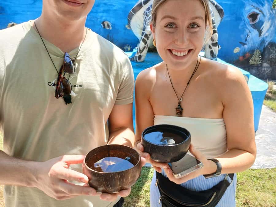 Bali: Turtle Conservation and Education Tour & Local Market - Should you book the turtle centre and market tour?