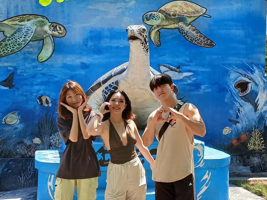 Bali: Turtle Conservation and Education Tour & Local Market - Why the turtle centre gives this tour its purpose