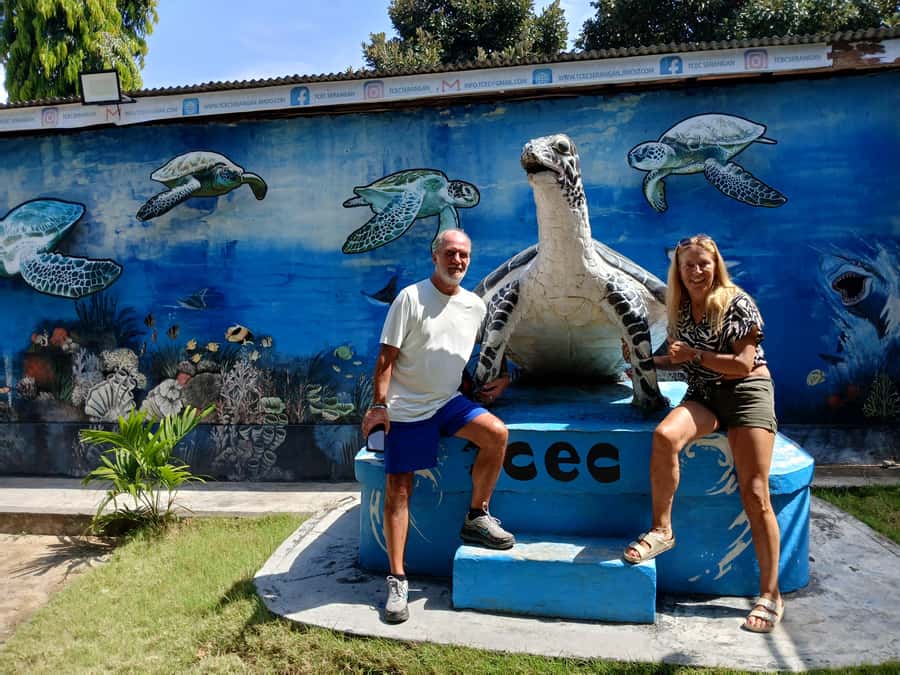 Bali: Turtle Conservation and Education Tour & Local Market - What $58 means for value