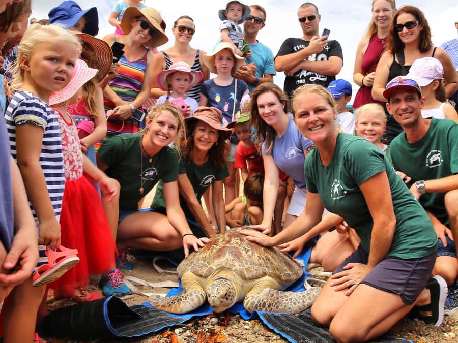 Bali: Turtle Conservation and Education Tour & Local Market - Who will enjoy this outing most
