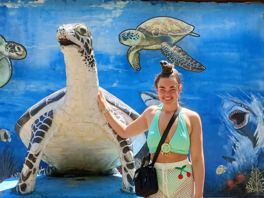 Bali: Turtle Conservation and Education Tour & Local Market - Booking flexibility and practical limits