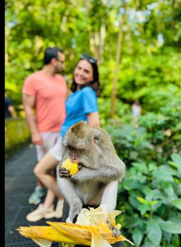 Bali: Ubud Monkey Forest, Coffee Plantation, and Market Tour - Tegenungan Waterfall: beautiful, popular, and better early