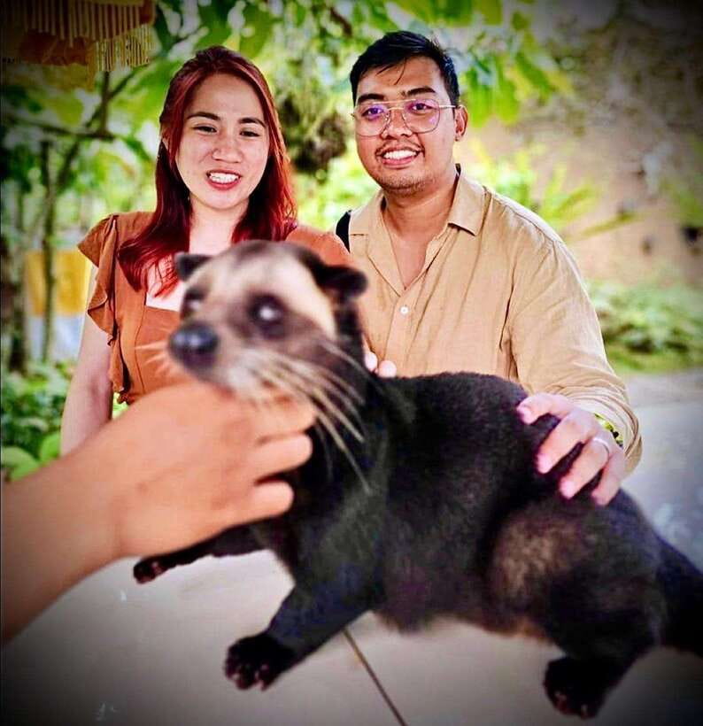 Bali: Ubud Monkey Forest, Coffee Plantation, and Market Tour - Timing, comfort, and who should book