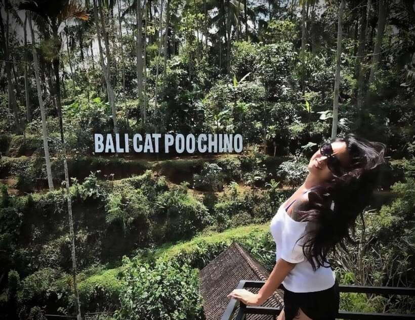 Bali: Ubud Monkey Forest, Coffee Plantation, and Market Tour - Booking, payment, and cancellation