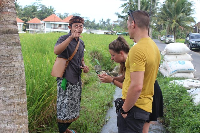 Balinese Ubud cooking school (9 Dish Cooking and Market Tour) - What you actually cook, from base gede to klepon