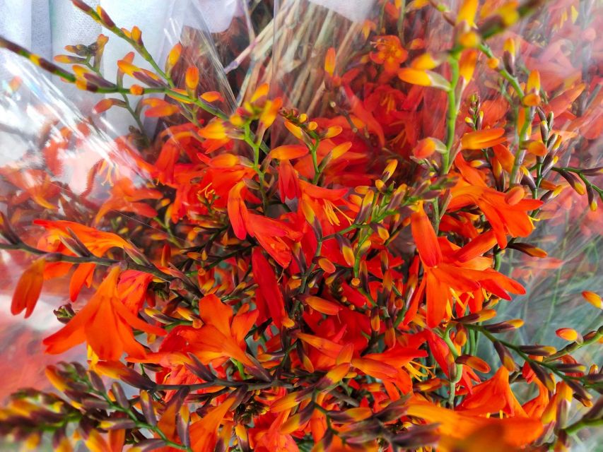 Bangkok:4Hour Flower Market and Little India Tour Mini Group - What the guide adds for $75