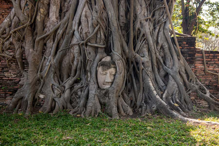 Bangkok: Ayutthaya, Railway & Floating Markets Full-Day Tour - Lunch Comes After the Morning Stops