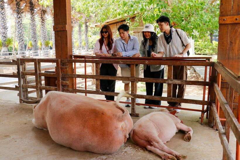 Bangkok: Damnoen Saduak and Train Market with Boat Ride - Key points to know before booking