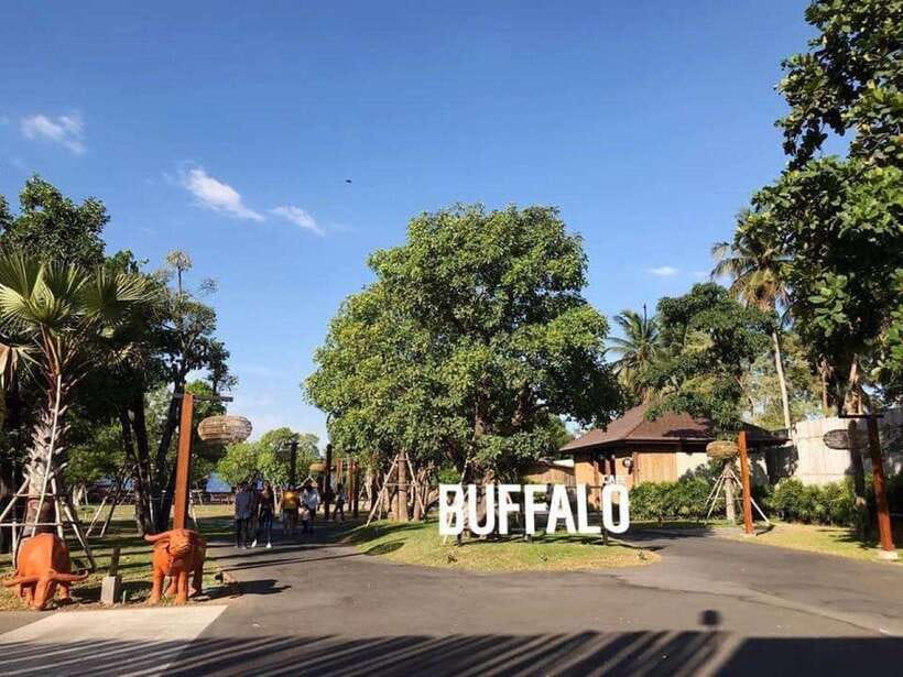 Bangkok: Damnoen Saduak and Train Market with Boat Ride - Buffalo Café gives the day a slower hour