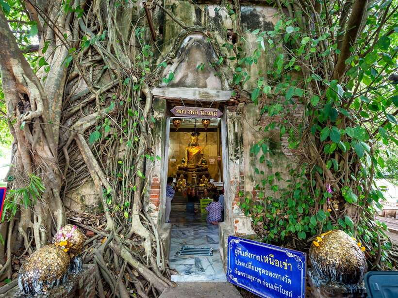 Bangkok: Maeklong Railway & Amphawa Floating Market Day Trip - Who should book this experience