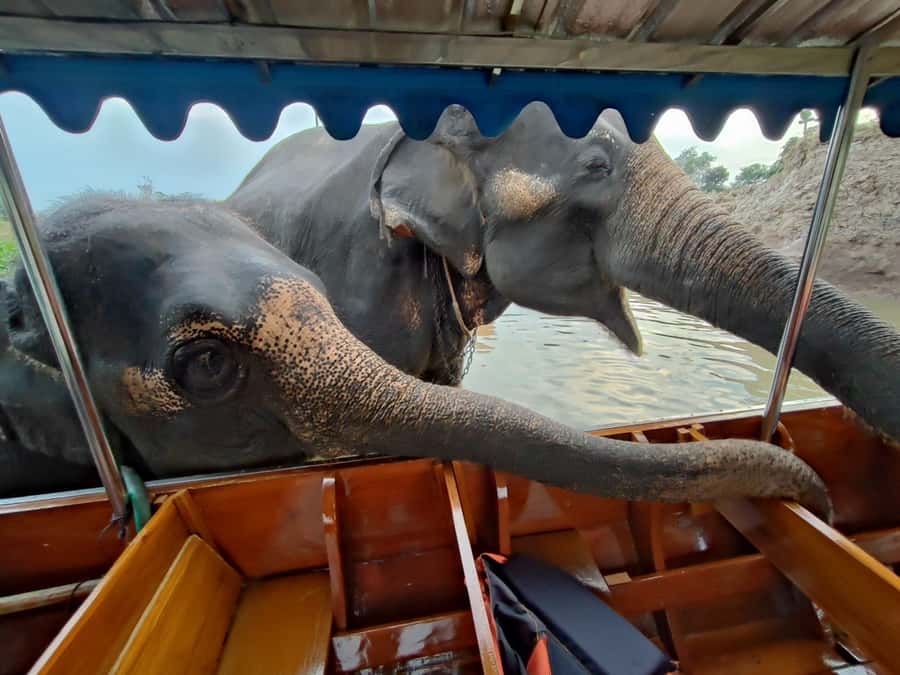 Bangkok: Private Trip to Ayutthaya Temples & Night Market - Why Ayutthaya makes a strong day trip from Bangkok